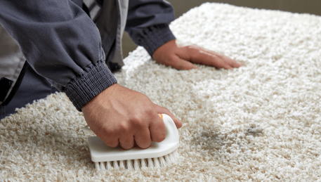 Professional Rug Cleaning Carnegie