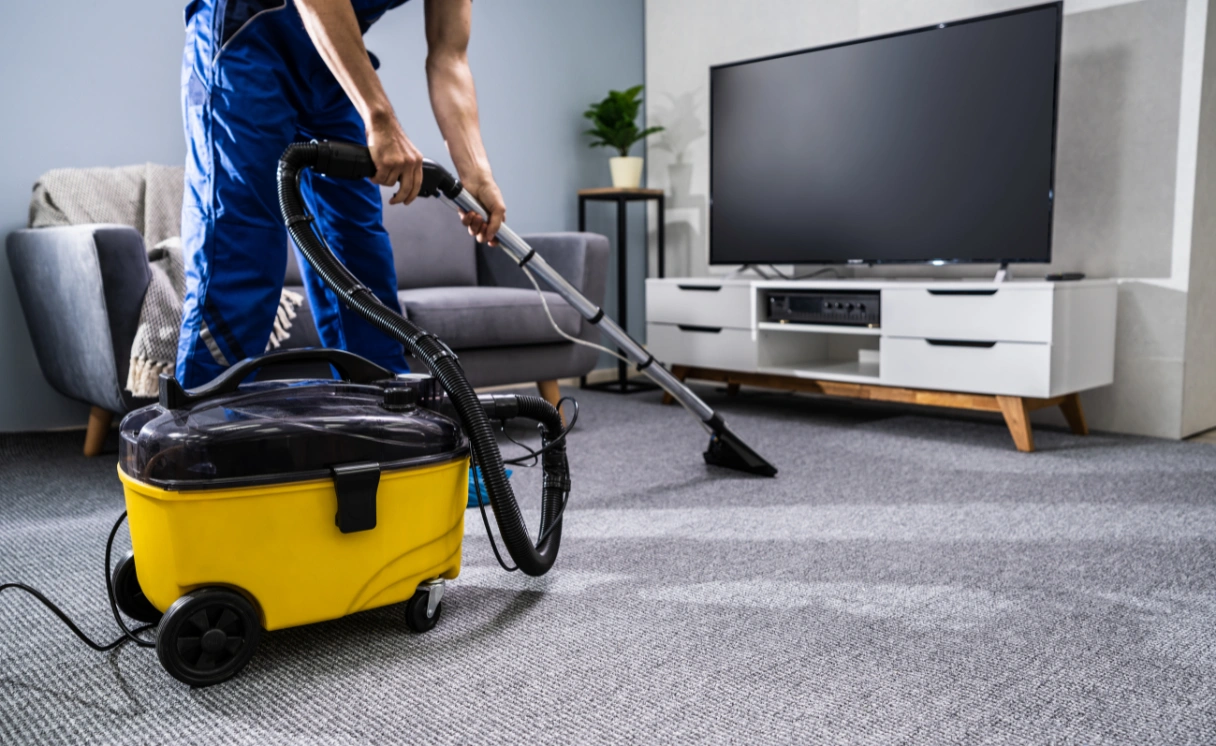 Extract Rug Cleaning Carnegie Contact Office